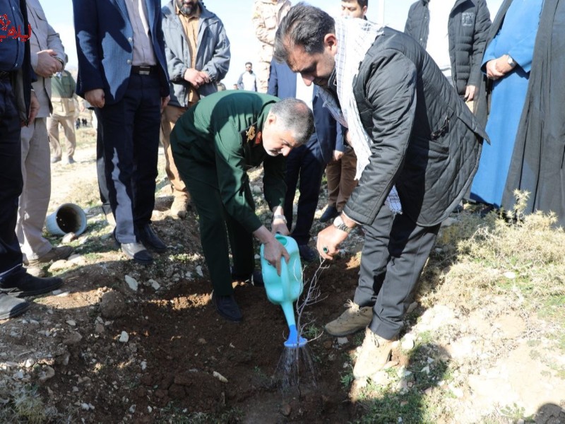برگزاری آیین درختکاری در ایلام برگزاری آیین درختکاری در ایلام