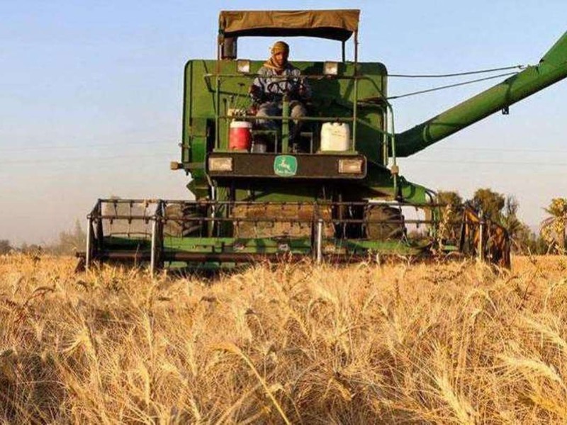 آغاز برداشت گندم در چرداول آغاز برداشت گندم در چرداول