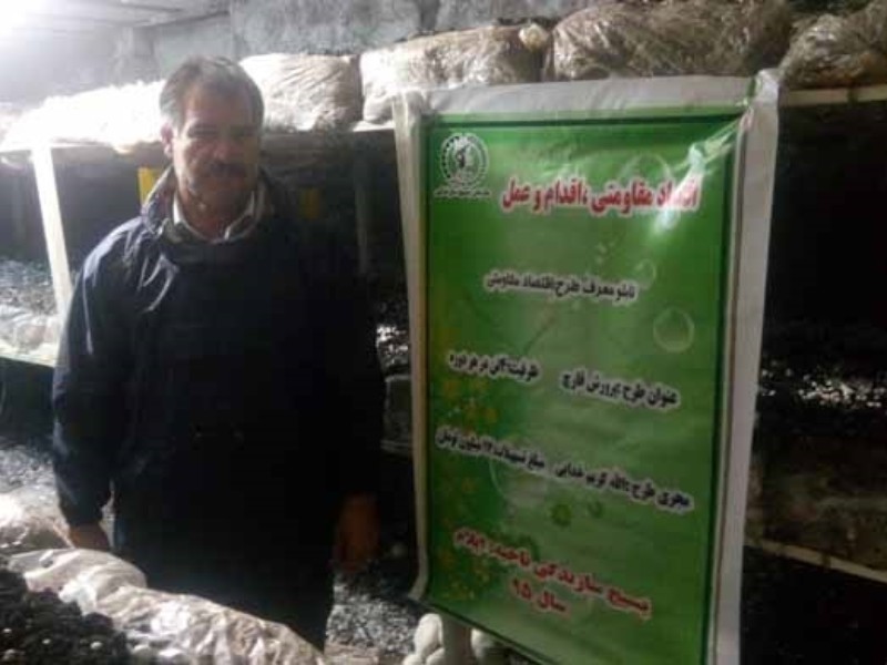 اشتغالزایی با پرورش قارچ اشتغالزایی با پرورش قارچ
