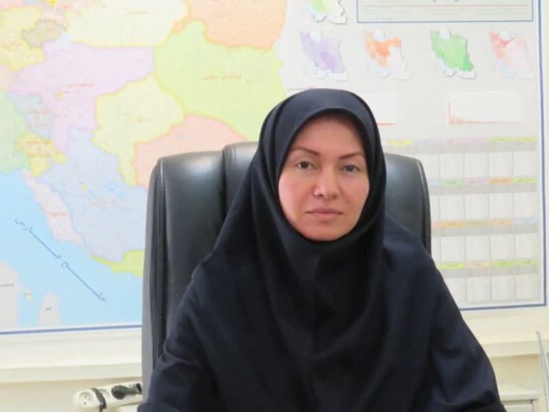 نرخ بیکاری ایلام در بهار امسال ۶.۸ درصد بوده است نرخ بیکاری ایلام در بهار امسال ۶.۸ درصد بوده است