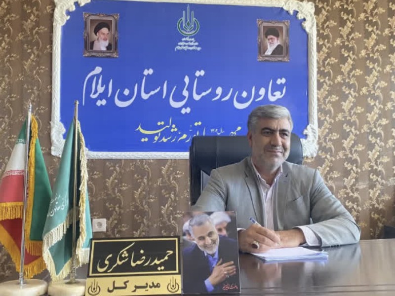 216 شرکتتعاونی در ایلام فعالیت دارند 216 شرکتتعاونی در ایلام فعالیت دارند