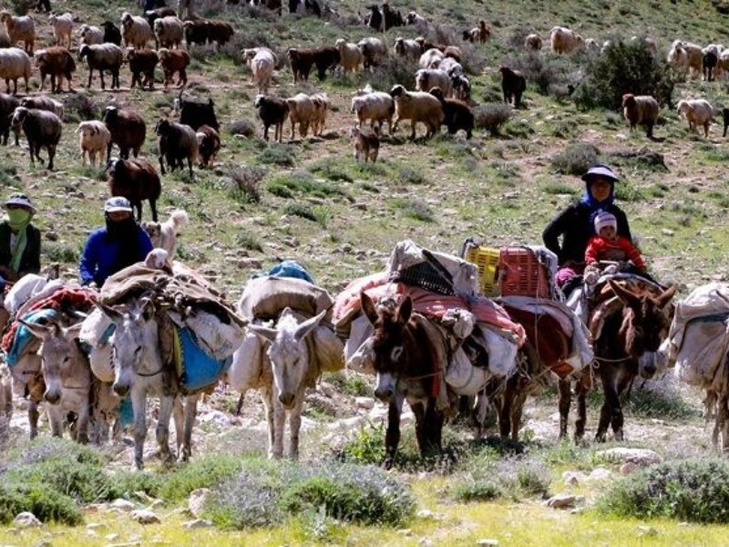 آبدانان میزبان بیش از یک هزار و 100 خانوار عشایر است آبدانان میزبان بیش از یک هزار و 100 خانوار عشایر است