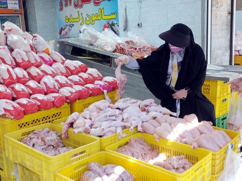 ورود روزانه ۲۰ تا ۲۵ تن مرغ به بازار ایلام