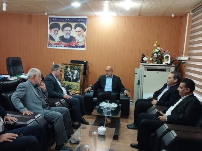 پیشبینی برداشت ۱۵ هزار تن کلزا در دهلران پیشبینی برداشت ۱۵ هزار تن کلزا در دهلران