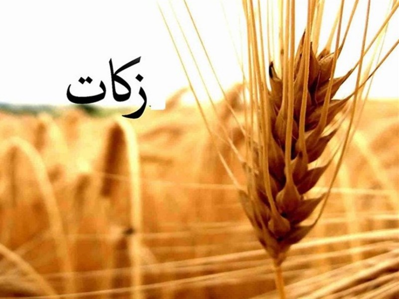 پیشبینی جمعآوری ۲۰ میلیارد ریال زکات در دهلران پیشبینی جمعآوری ۲۰ میلیارد ریال زکات در دهلران