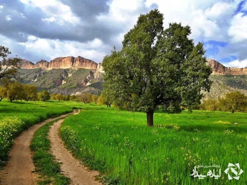 روایتی از طبیعت ایلام روایتی از طبیعت ایلام
