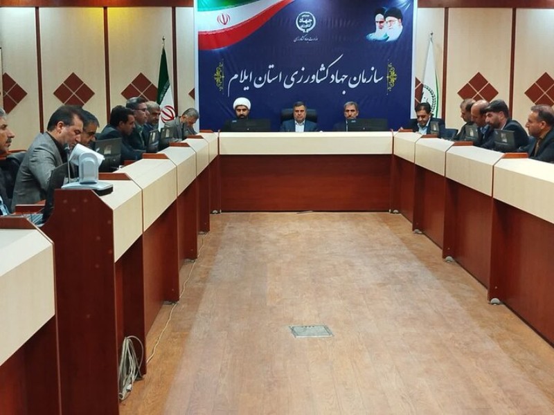 ۹۰ واحد مرغداری در ایلام نیازمند تسهیلات هستند ۹۰ واحد مرغداری در ایلام نیازمند تسهیلات هستند