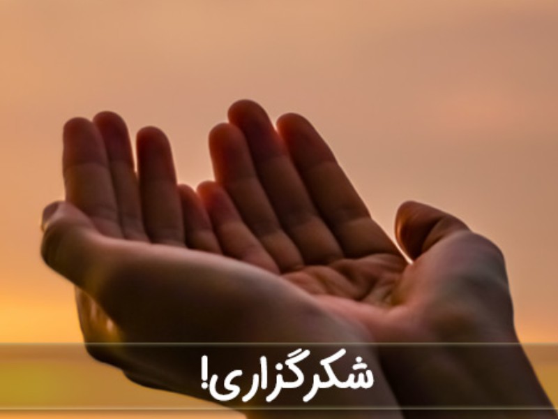 فواید سپاسگزاری برای ذهن و جسم فواید سپاسگزاری برای ذهن و جسم