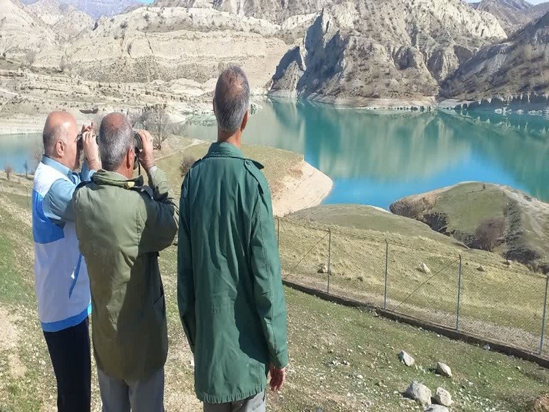 آغاز پایش زیستگاههای آبی پرندگان مهاجر در ایلام آغاز پایش زیستگاههای آبی پرندگان مهاجر در ایلام