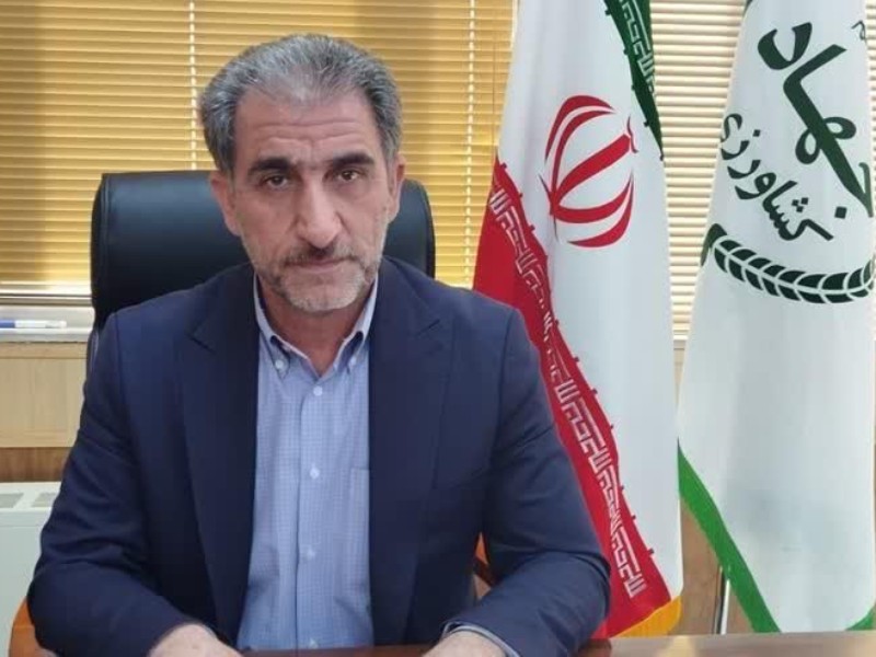 گسترش آبیاری نوین در ۱۷ هزار و ۵۰۰ هکتار اراضی ایلام