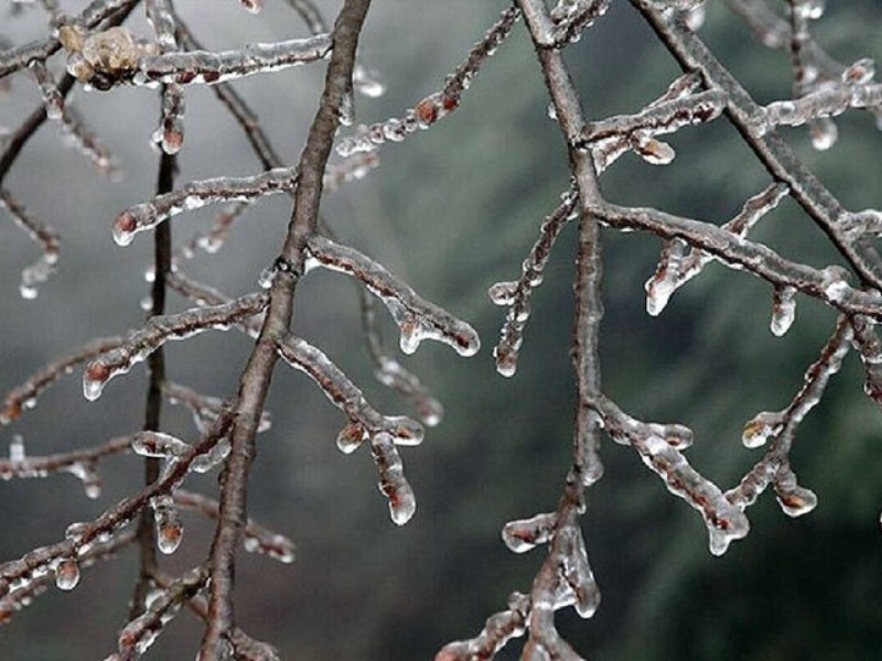ایلام درگیر یخ‌بندان شدید می‌شود