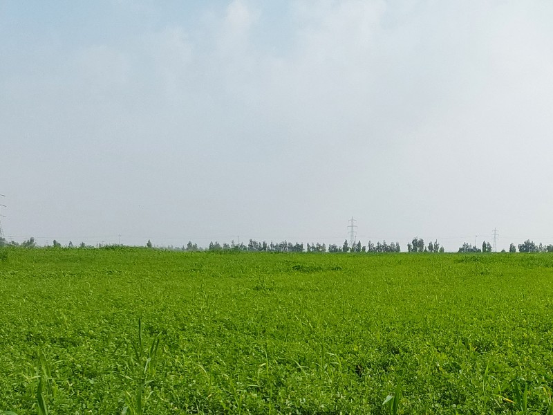 آموزش کشاورزان، کلید موفقیت در افزایش تولید است