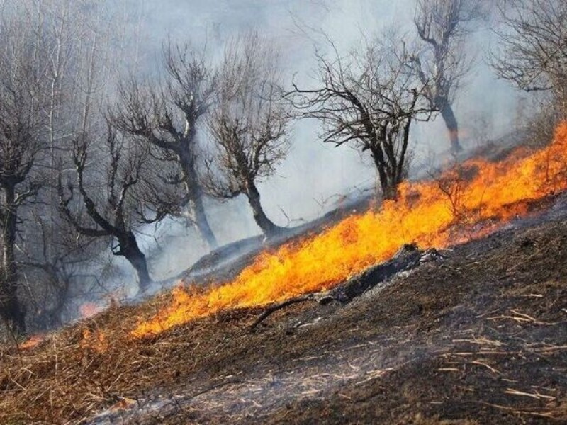 حریق اراضی کشاورزی چوار مهار شد
