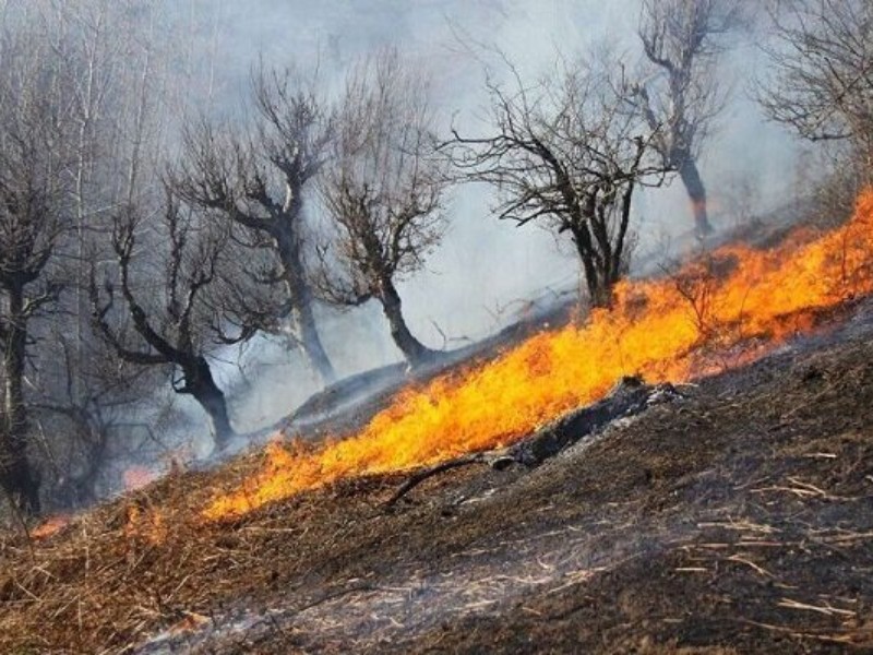 آتش‌سوزی ارغوان ایلام مهار شد
