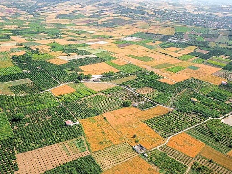 سنددار شدن ۹۷ درصد از اراضی منابع طبیعی ایلام