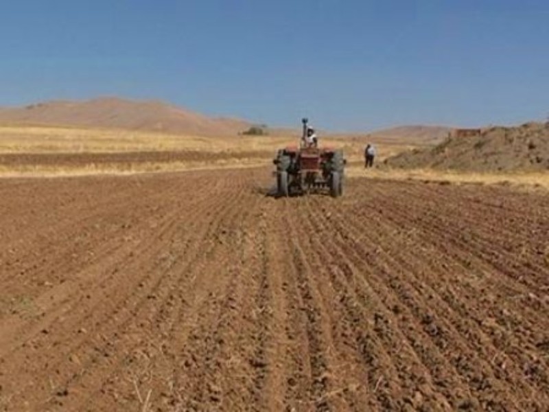 واگذاری زمین و حفظ کاربری؛ کلید کشاورزی پایدار