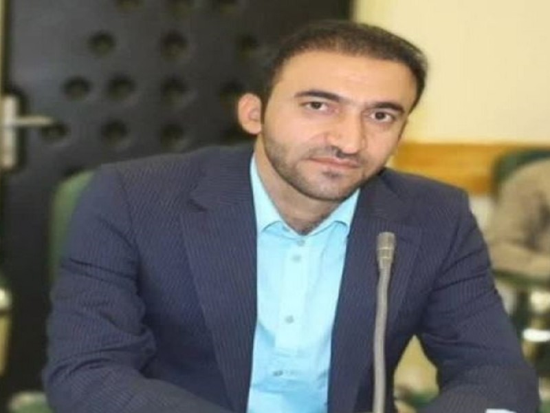 زنبور گال‌زای تهدیدی جدی برای درختان زاگرس است