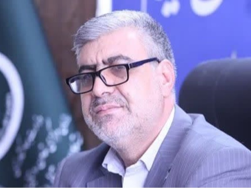 انجام کشت قراردادی ذرت علوفه‌ای در ۱۴۰۰ هکتار ایلام