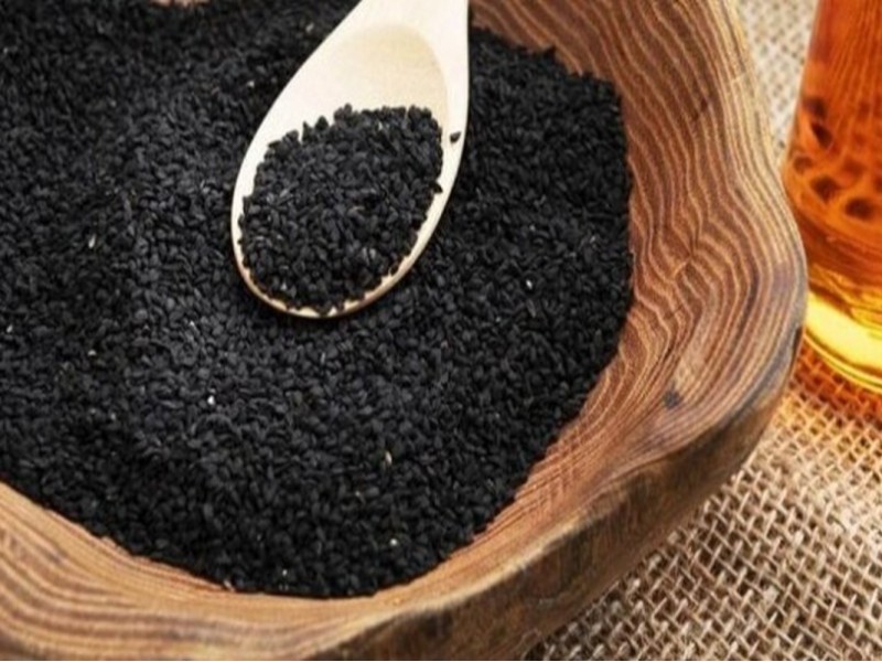 کشت سیاه‌دانه، فرصتی برای اشتغال پایدار در ایلام