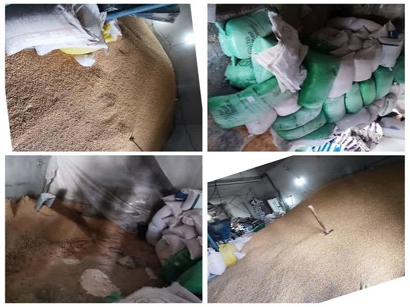 ۱۹ تن نهاده طیور خارج از شبکه در ایلام کشف شد ۱۹ تن نهاده طیور خارج از شبکه در ایلام کشف شد