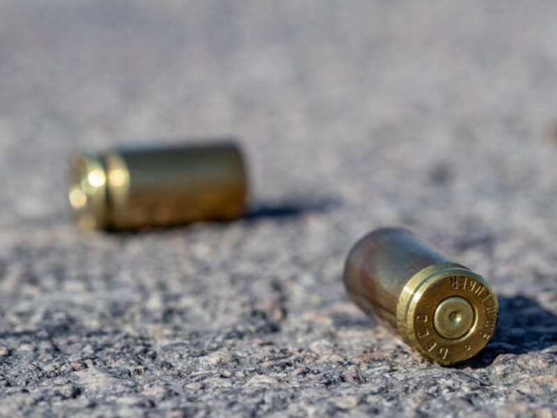 ضارب و همدستانش دستگیر شدند