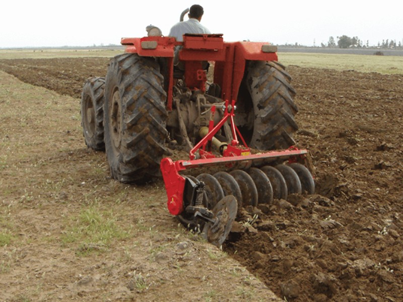 پیش‌بینی کشت ۷۸۰۰ هکتار جو در دهلران