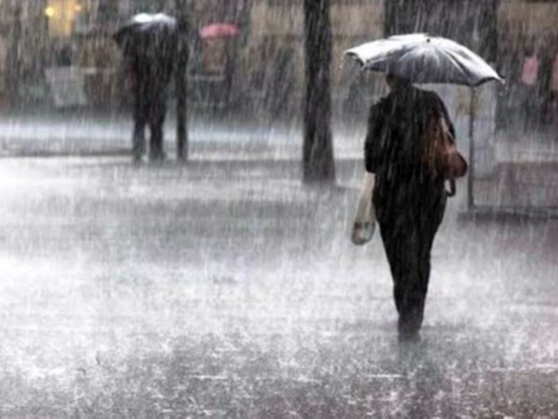 زیفل رکورددار بارشهای اخیر در ایلام زیفل رکورددار بارشهای اخیر در ایلام