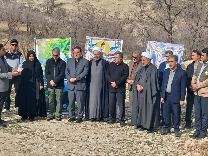 برگزاری پویش نهالکاری «ایستاده چون سرو» در ایلام برگزاری پویش نهالکاری «ایستاده چون سرو» در ایلام