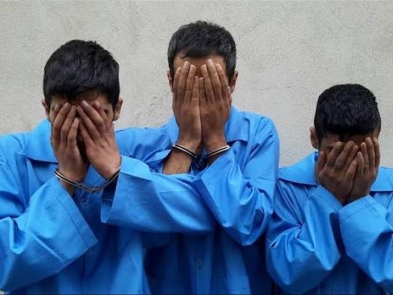 ۳ سارق حرفه ای در ایلام دستگیر شدند