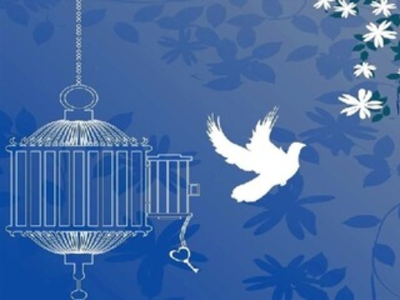 ۴ کارگر ایلامی از زندان آزاد شدند ۴ کارگر ایلامی از زندان آزاد شدند