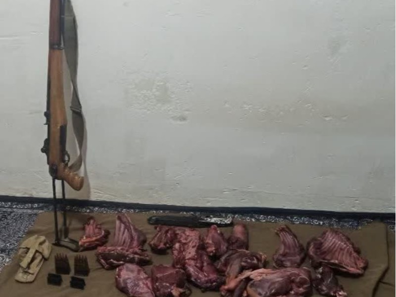 شکارچی مسلح در منطقه حفاظتشده ایلام دستگیر شد شکارچی مسلح در منطقه حفاظتشده ایلام دستگیر شد