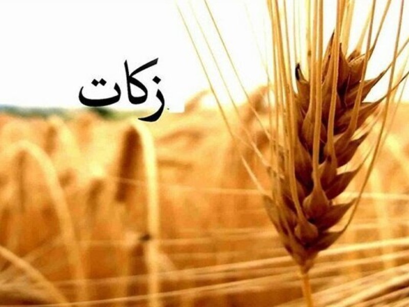 هدفگذاری ۳۰ میلیاردتومانی زکات در ایلام هدفگذاری ۳۰ میلیاردتومانی زکات در ایلام