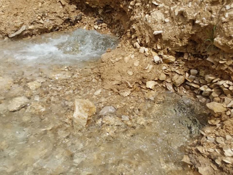 طبیعت میمه؛ آواز آب در دل کوهستان طبیعت میمه؛ آواز آب در دل کوهستان