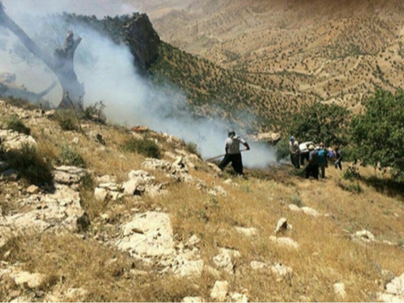 آتش‌سوزی ارتفاعات «گوزنه» ایوان مهار شد