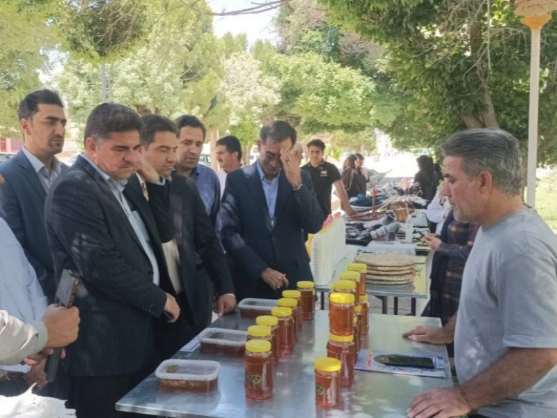 هزار میدان برای تولید؛ فرصت برای رونق تولید در ایلام هزار میدان برای تولید؛ فرصت برای رونق تولید در ایلام