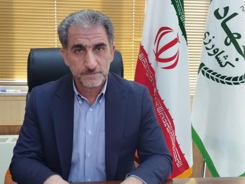 ۳۰۰ هکتار گلخانه جدید در ایلام احداث می‌شود