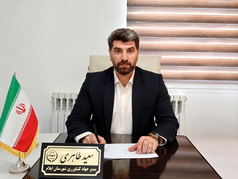 برخورد با متخلفان حوزه نان در ایلام ادامه دارد برخورد با متخلفان حوزه نان در ایلام ادامه دارد