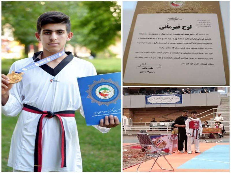 طلای تکواندو قهرمانی کشور بر گردن دانشآموز کارزانی طلای تکواندو قهرمانی کشور بر گردن دانشآموز کارزانی