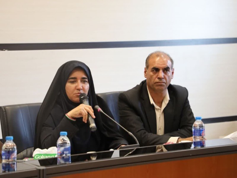 آبدانان ظرفیت ایجاد صنایع پیشران را دارد آبدانان ظرفیت ایجاد صنایع پیشران را دارد