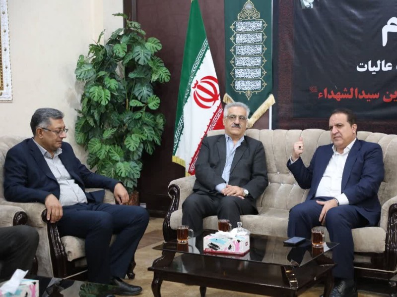 ایلام می‌تواند به قطب تولید گندم کشور تبدیل شود